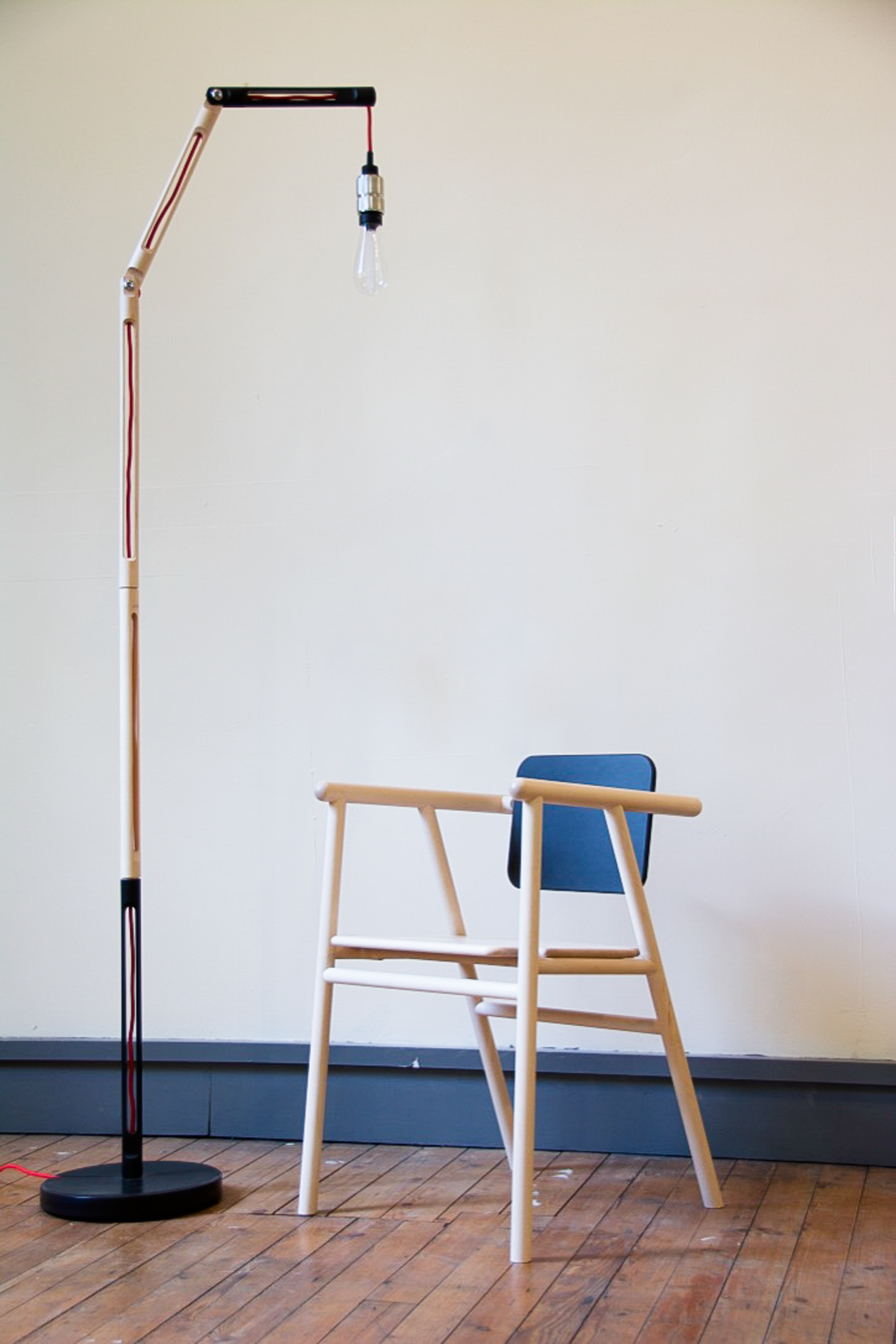 Phloem Lamp