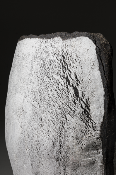 The Brodgar Collection - Large Vessel Close Up