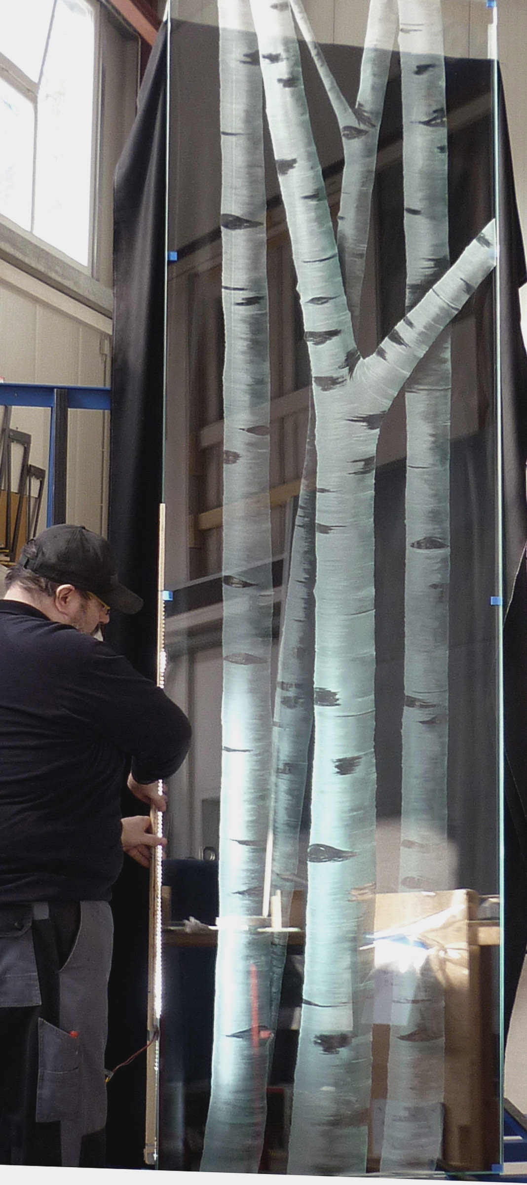 Quaking Aspen Panels, Beverley Hills