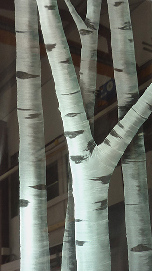 Quaking Aspen Panels